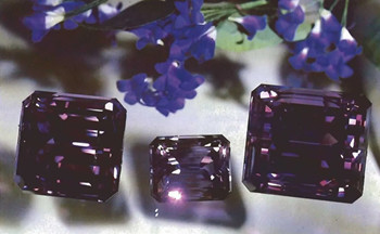 1775008562558352.jpg 640 (1).webp (3)_副本.jpg