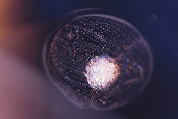 640.webp (1)_副本.jpg