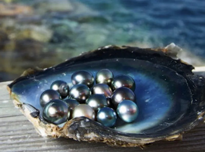 640.webp (9)_副本.jpg